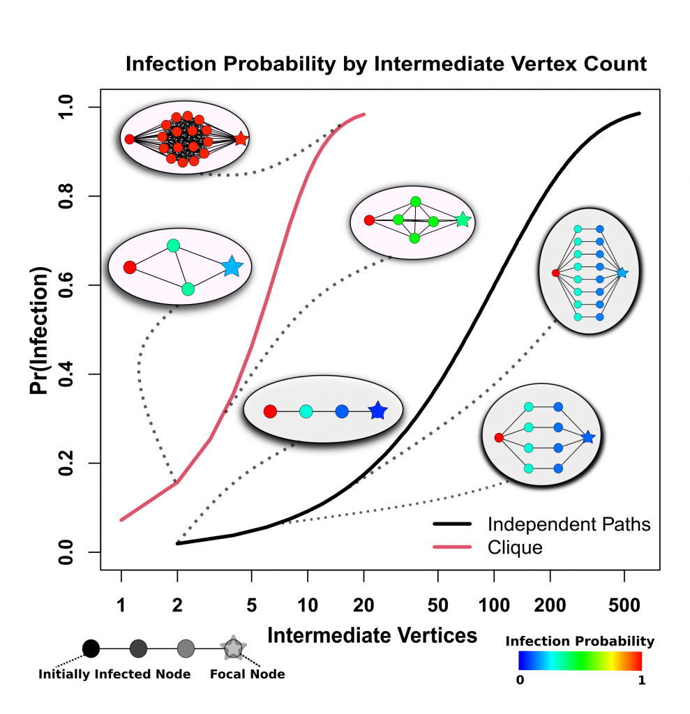 graph depicting probability of infection based on intermediate vertex count